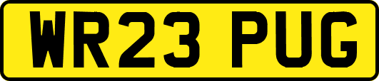 WR23PUG