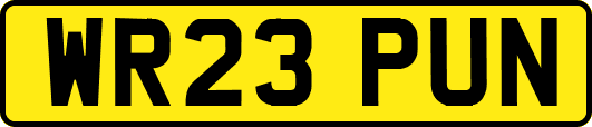 WR23PUN