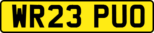 WR23PUO