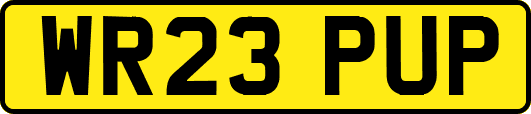 WR23PUP
