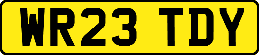 WR23TDY