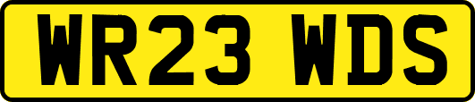 WR23WDS