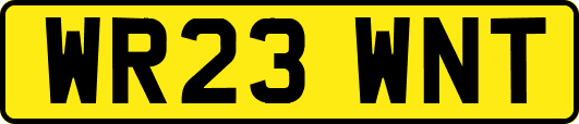 WR23WNT