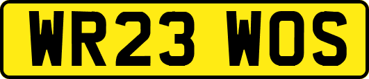 WR23WOS