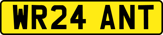 WR24ANT