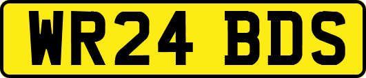 WR24BDS