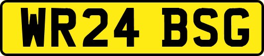 WR24BSG