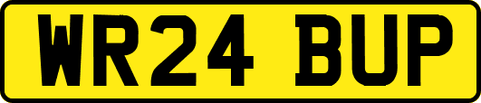WR24BUP