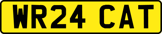 WR24CAT
