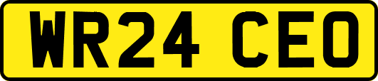 WR24CEO