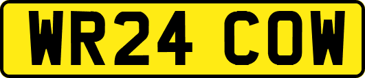 WR24COW