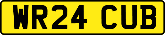 WR24CUB
