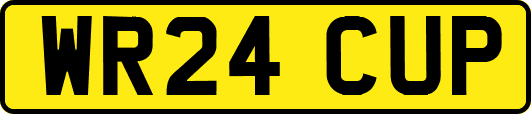 WR24CUP