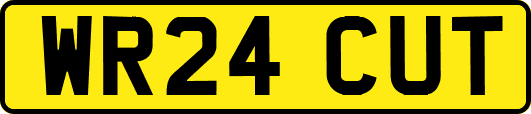WR24CUT