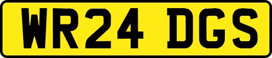 WR24DGS