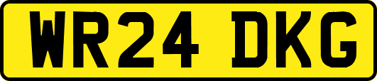 WR24DKG
