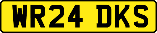 WR24DKS