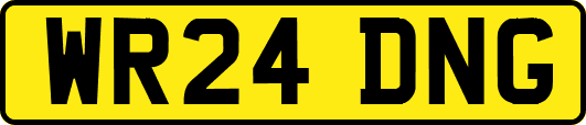 WR24DNG