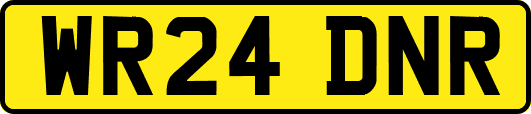 WR24DNR
