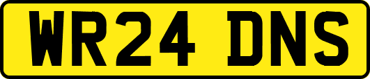 WR24DNS