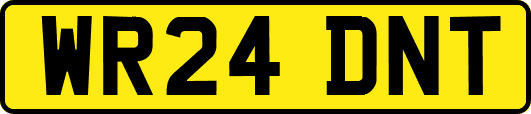 WR24DNT