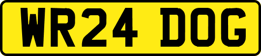WR24DOG