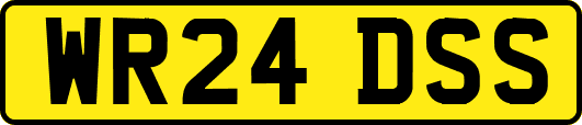 WR24DSS