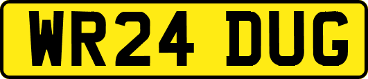 WR24DUG