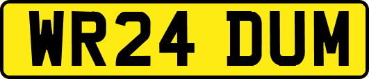 WR24DUM