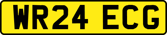WR24ECG