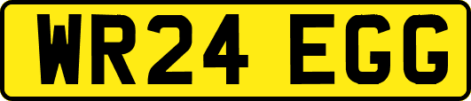 WR24EGG