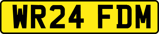 WR24FDM