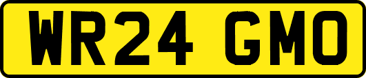 WR24GMO
