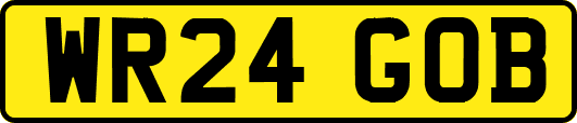 WR24GOB