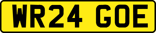 WR24GOE