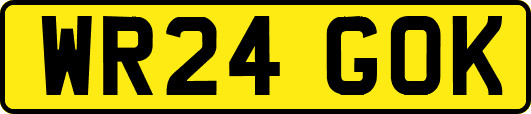 WR24GOK