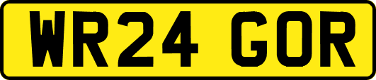 WR24GOR