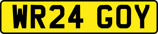 WR24GOY