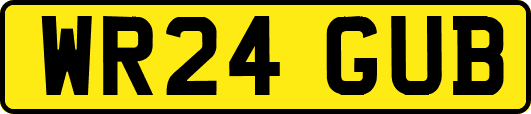 WR24GUB