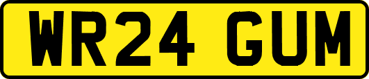 WR24GUM