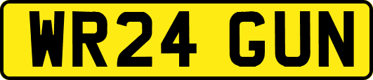 WR24GUN