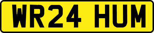 WR24HUM