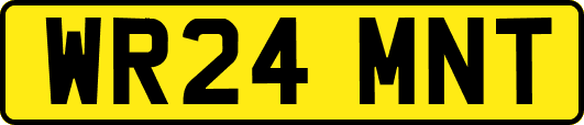 WR24MNT