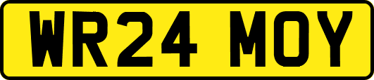 WR24MOY