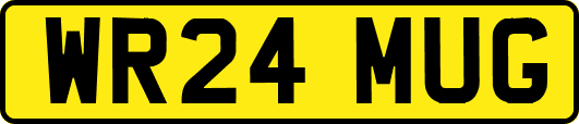 WR24MUG