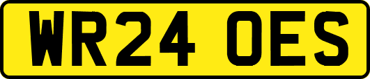 WR24OES