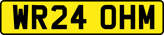 WR24OHM