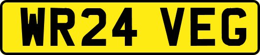 WR24VEG