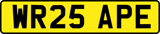 WR25APE