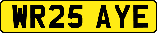 WR25AYE